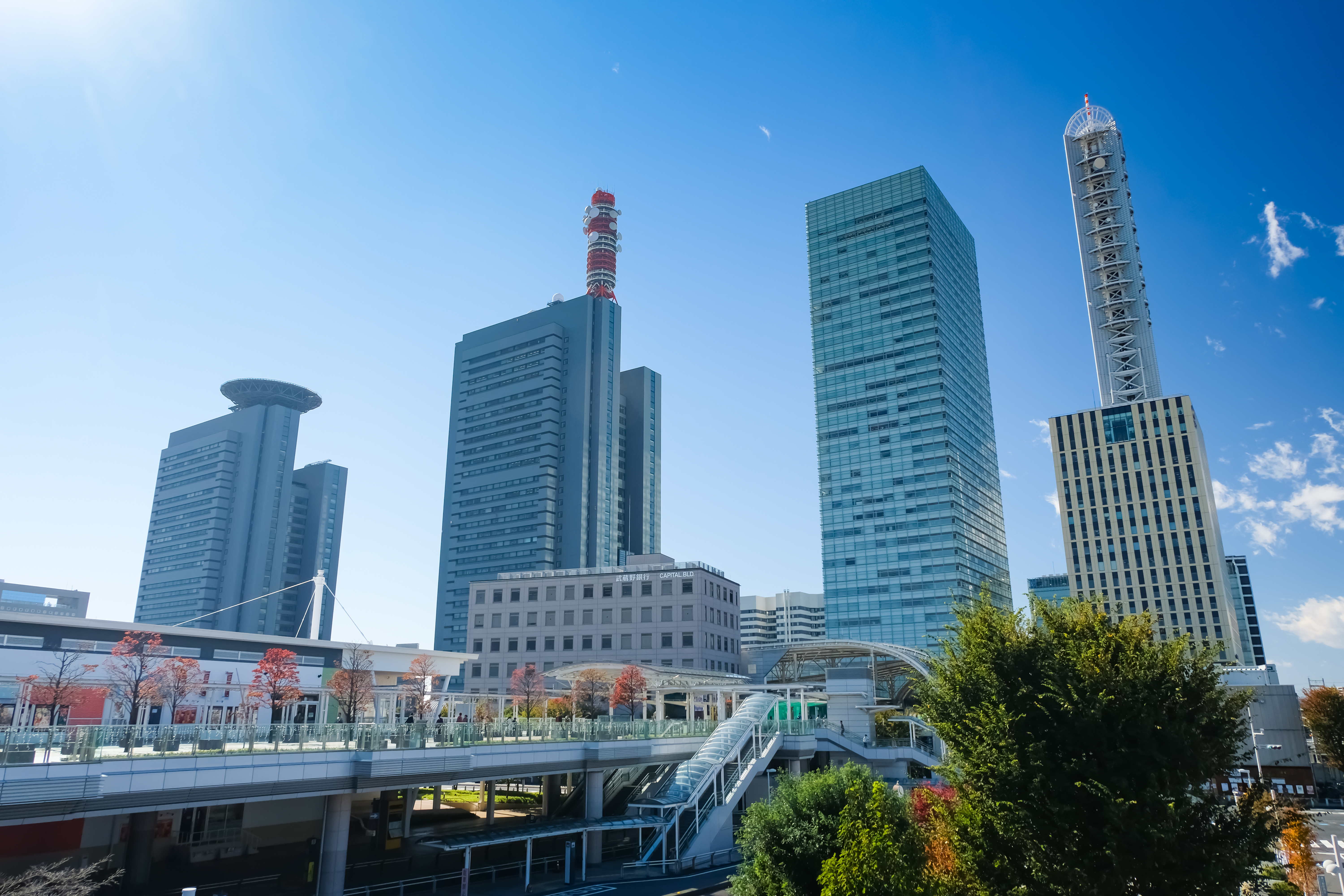 東京オフィス（大宮）